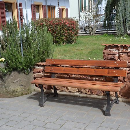 Ferienwohnungen Am Brunnen - Naehe Europapark, W-Lan, Klimaanlage 莱茵豪森 外观 照片
